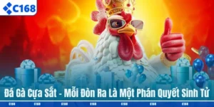 Đá gà cựa sắt