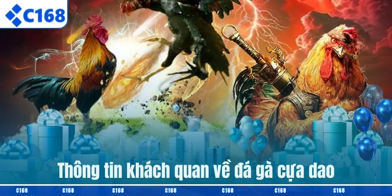 Thông tin khách quan về đá gà cựa dao